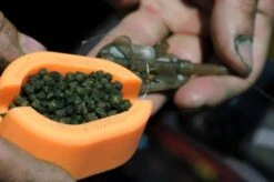 Guru - Methodfeeder X-Press Method Mould - Guru 8 Guru - Methodfeeder X-Press Method Mould - Guru -Hoogwaardige Visuitrusting 1266185736