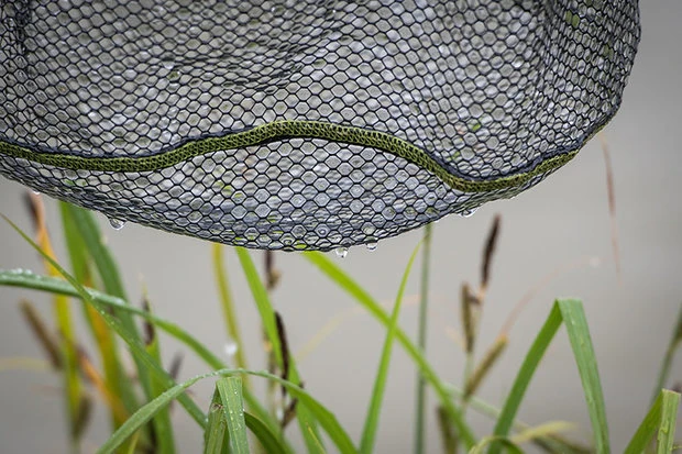 Matrix - Schepnet Carp 6mm Rubber Landing Net 45 X 35cm - Matrix 6 Matrix - Schepnet Carp 6mm Rubber Landing Net 45 X 35cm - Matrix - Afbeelding 4
