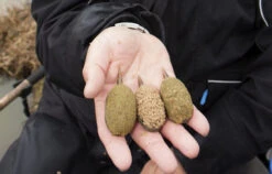 Preston - Methodfeeder Elasticated Flat Method Feeder - Preston 9 Preston - Methodfeeder Elasticated Flat Method Feeder - Preston -Hoogwaardige Visuitrusting 1442713812