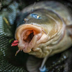 Korum - Haken Grappler Barbed - Korum -Hoogwaardige Visuitrusting 1944874725